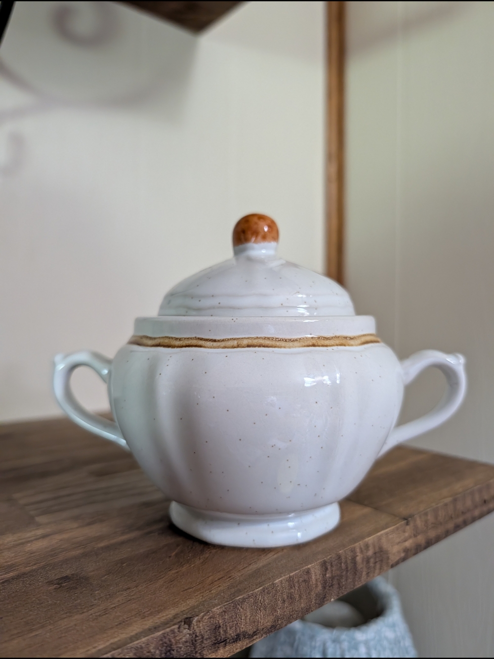 Ceramic Lidded Sugar Bowl with Handles - White and Brown